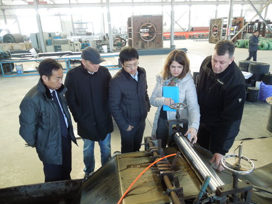 Energy-Saving Automatic Cross-Linked PE Heat Shrink Sleeve Manufacturing Line with 0.5-3mm Sleeve Thickness