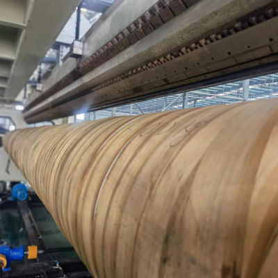 Sj120/33 Geo Membrane Film Extrusion Line с настраиваемыми опциями и сертификацией CE