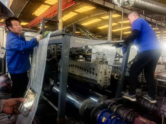 HDPE and PE Wrap Sheet Extruder with 150 - 500 kg/h Capacity and T-Die for Industrial Pipeline Protection